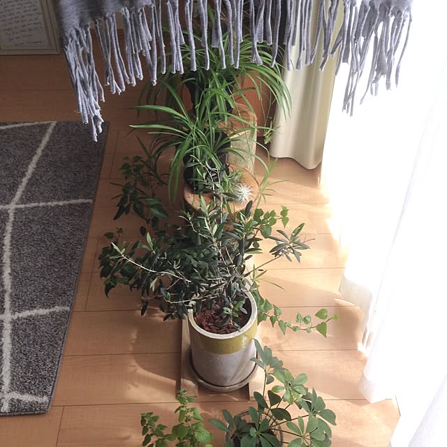 saさんの実例写真