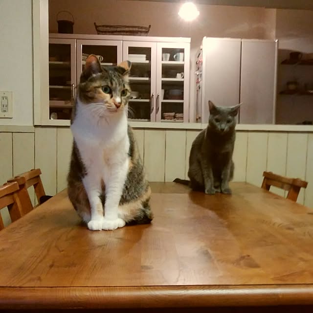 tomo1220さんの実例写真