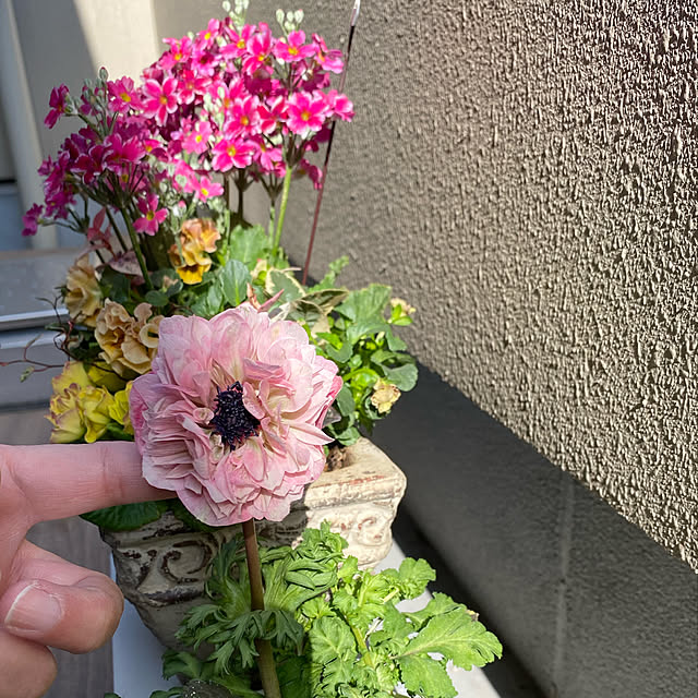 junさんの実例写真