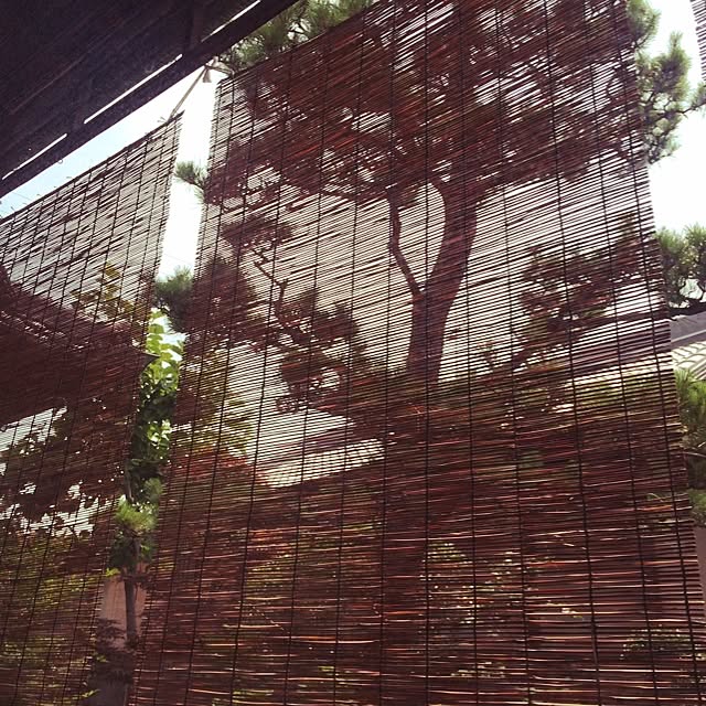 Minamiさんの実例写真