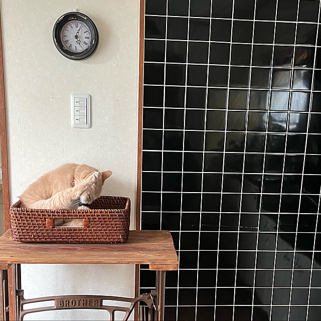 mikan161さんの実例写真