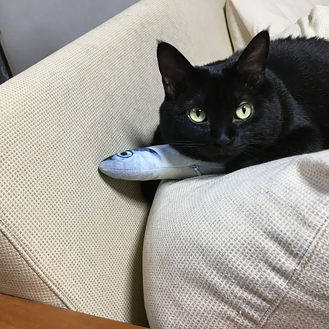 kirakirahoshiさんの実例写真