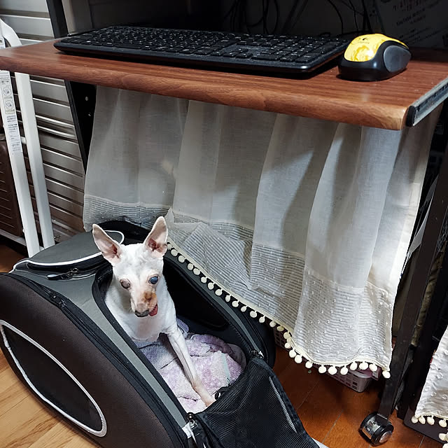 nobuさんの実例写真