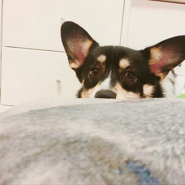 Ruiさんの実例写真