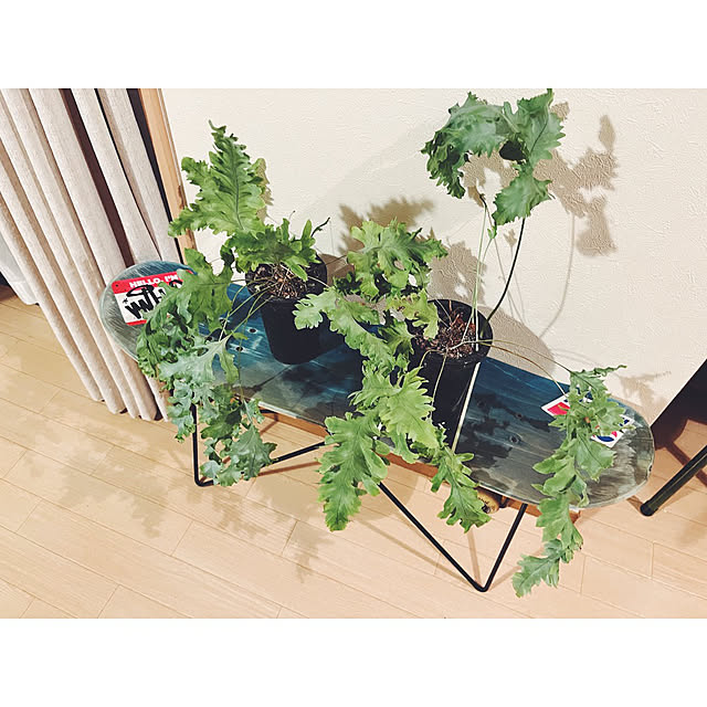 w_end_0625さんの部屋