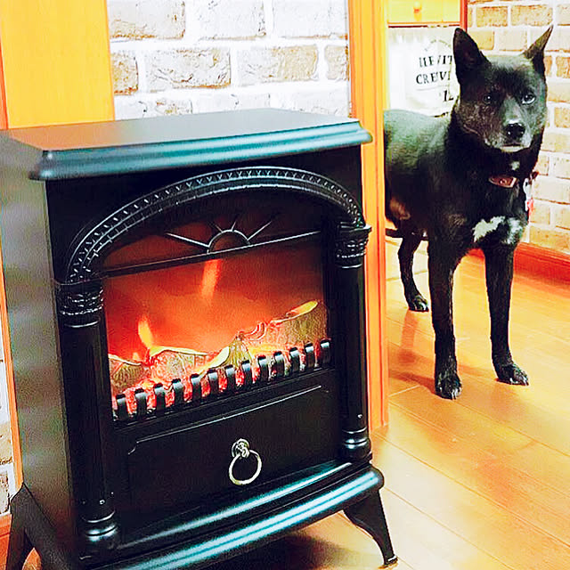 haruさんの実例写真