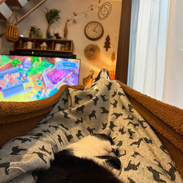 kojimasaさんの実例写真