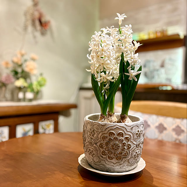 momo_sanさんの部屋