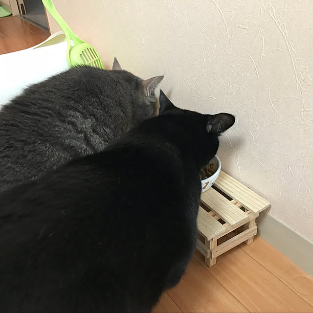 Machikoさんの実例写真
