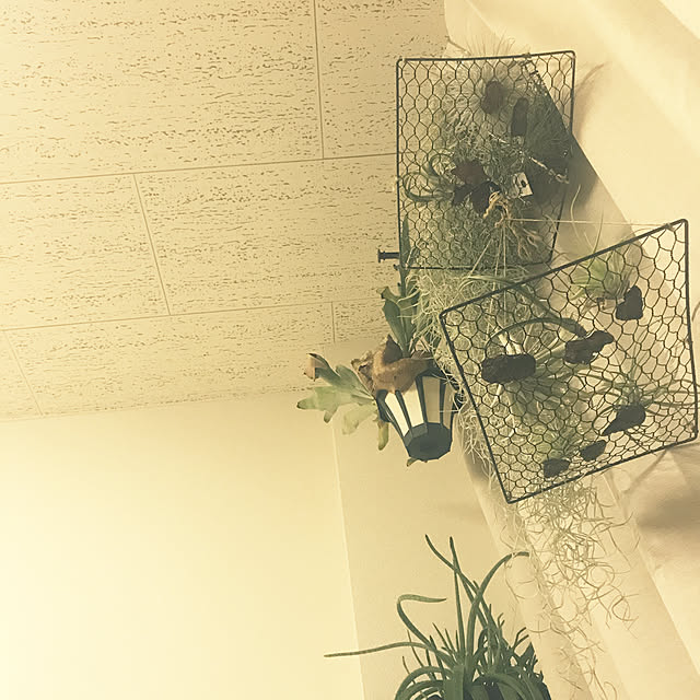 powakyonさんの実例写真