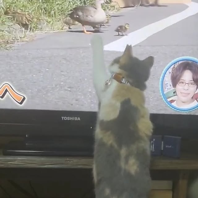 fukuさんの実例写真