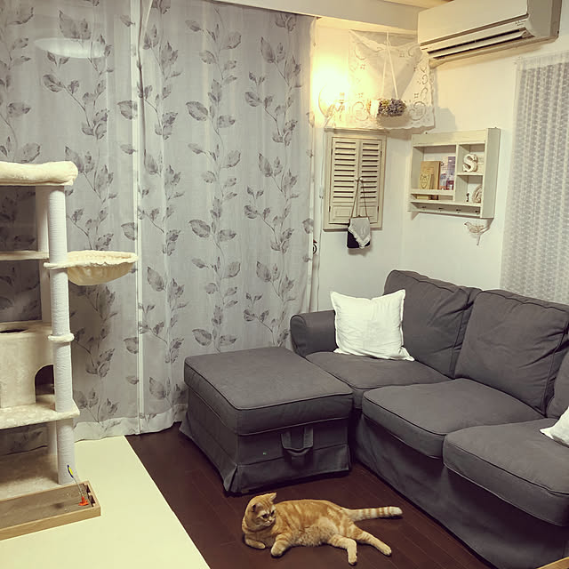 Atelier.mさんの実例写真