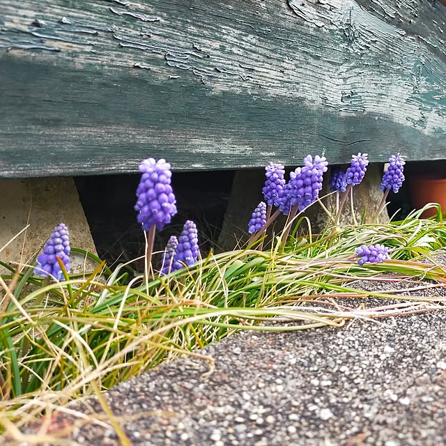 michiさんの部屋