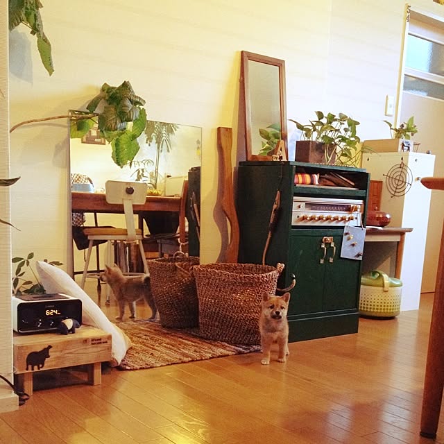 botanさんの実例写真