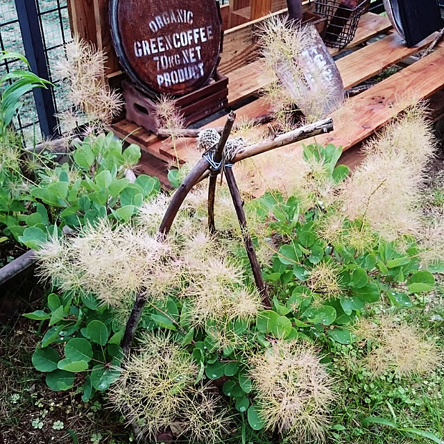 highig16さんの実例写真