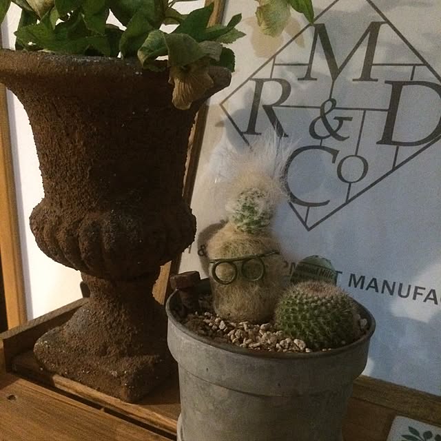 cocoさんの実例写真