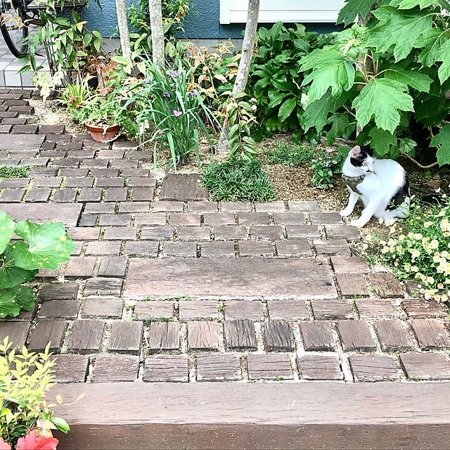 nobikoさんの実例写真