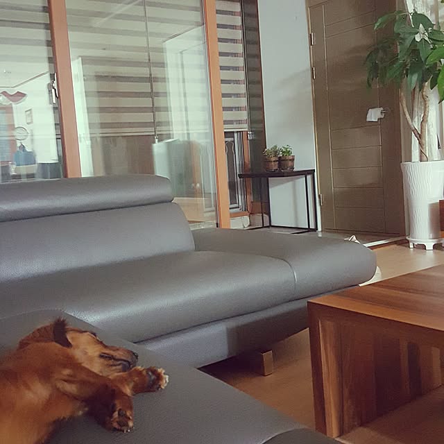 very2kobeさんの実例写真