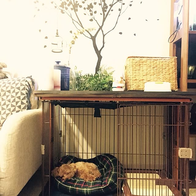 yuchiさんの実例写真