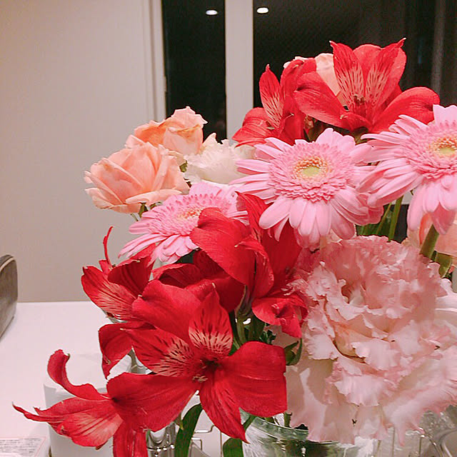 Shikiiroさんの実例写真