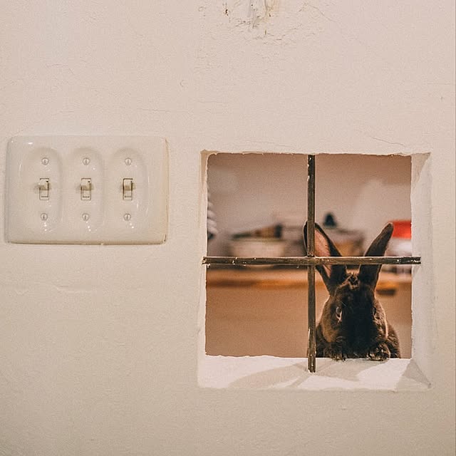 ibafralifeさんの実例写真