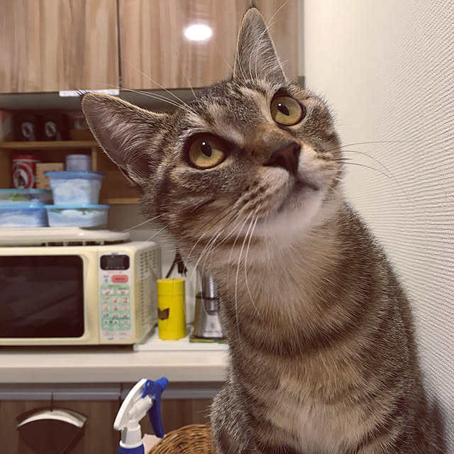 mikomaruさんの実例写真