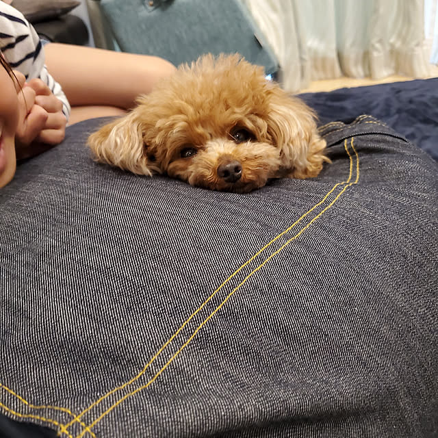 BERUさんの実例写真