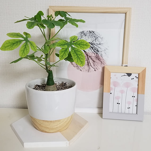 ...t_m_eee...さんの実例写真
