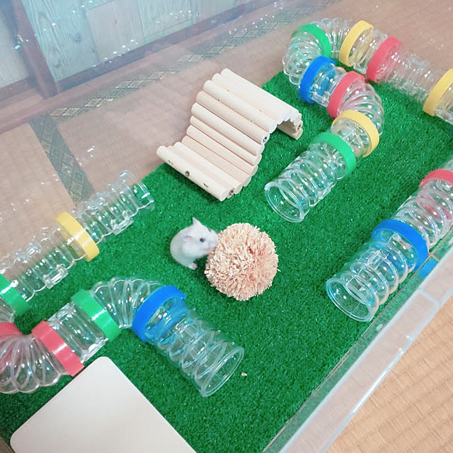 harumoeさんの実例写真