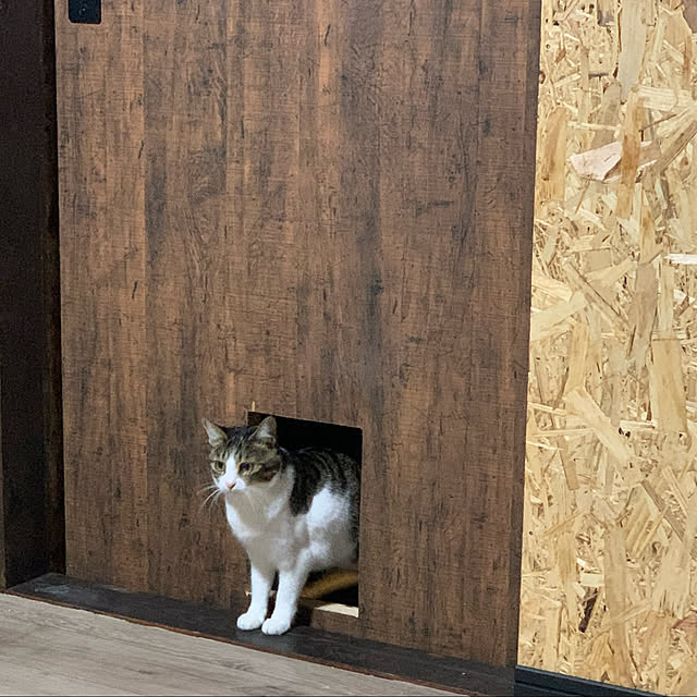 ykk210さんの実例写真