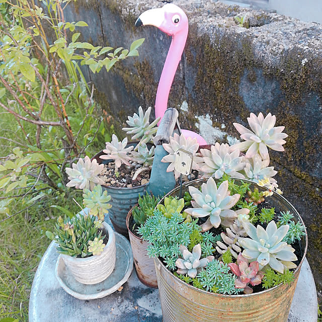 rumako32さんの実例写真