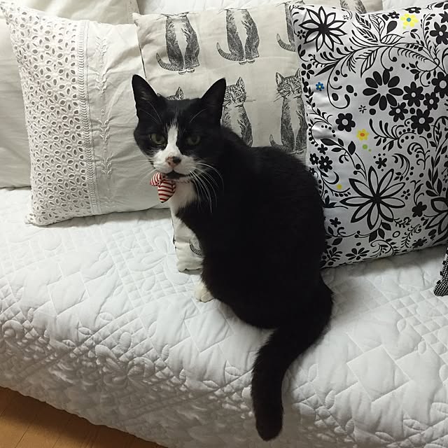 yunaさんの実例写真
