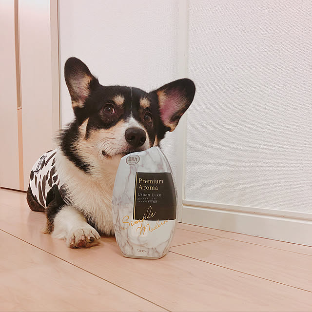 Ruiさんの実例写真