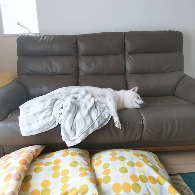 yukinkoさんの部屋