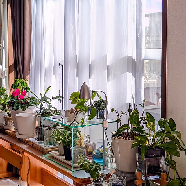 mi-saさんの部屋