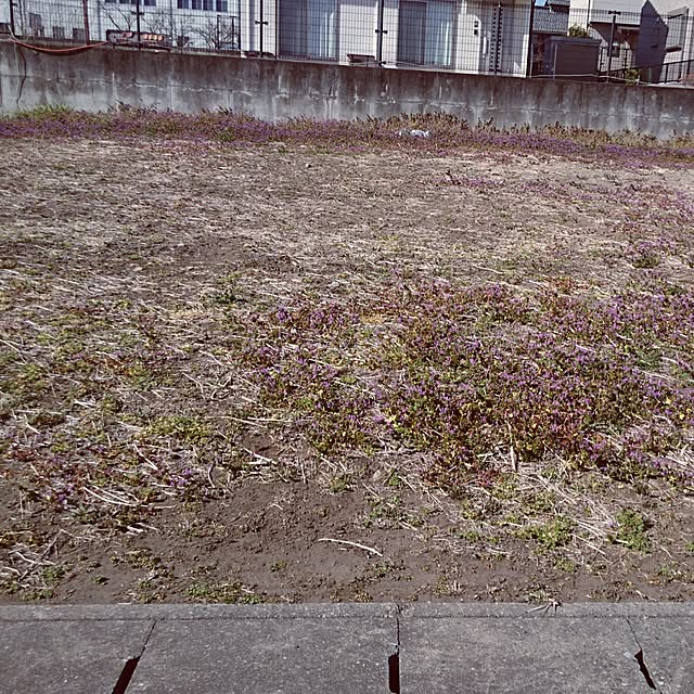 shiiiさんの実例写真