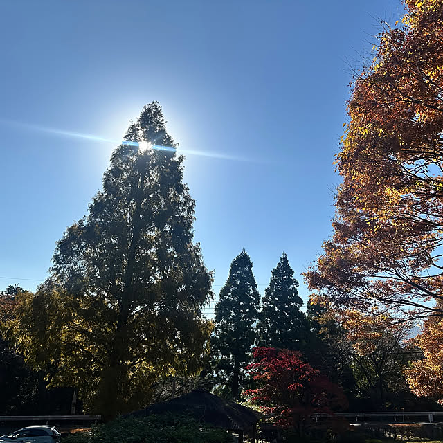 okyame-chanさんの部屋