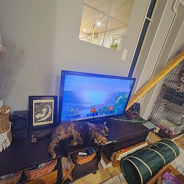 rsim+kmymさんの実例写真