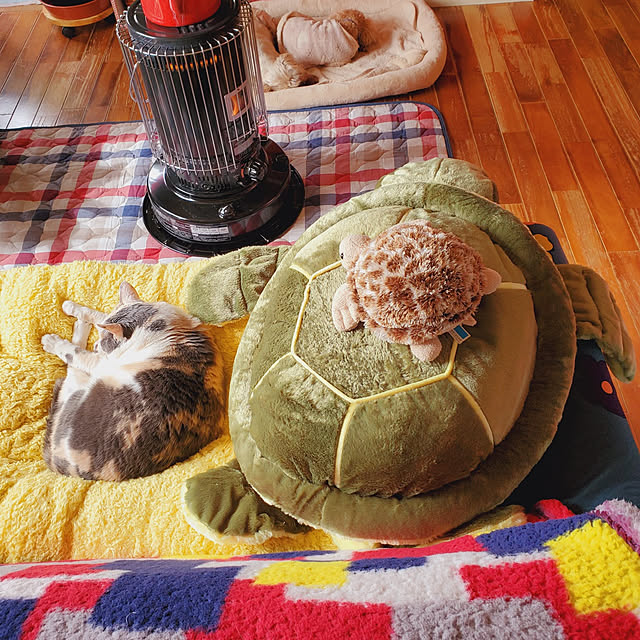 kumutanさんの実例写真