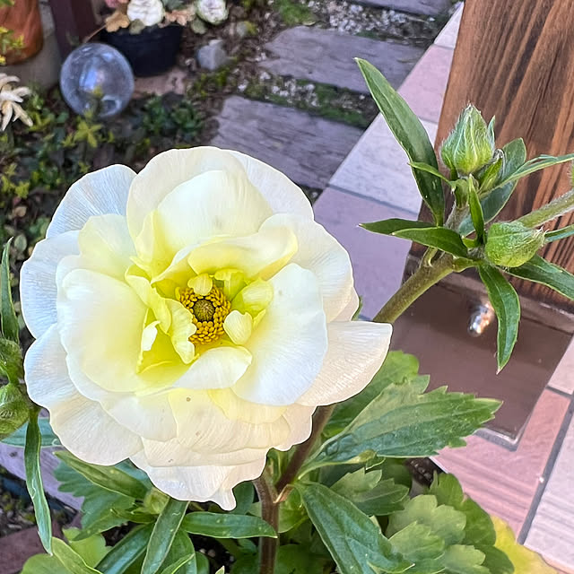 hinamamaさんの部屋