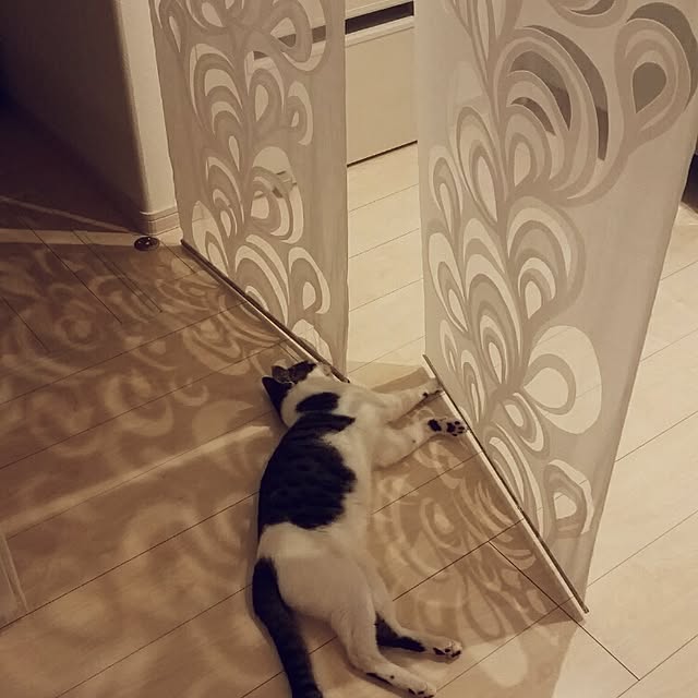 runayucoさんの実例写真