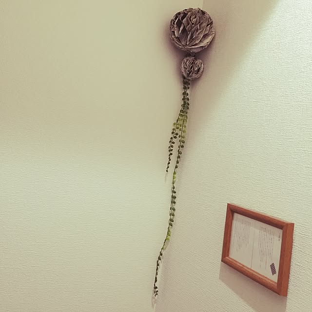 nさんの実例写真
