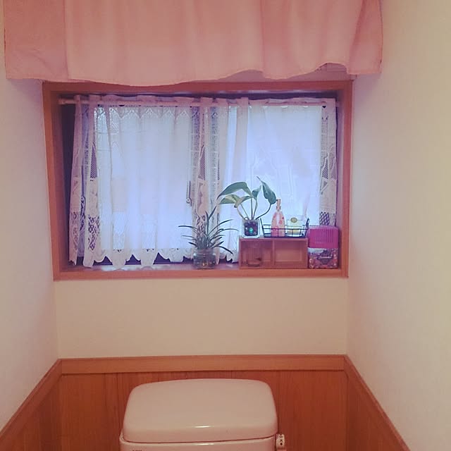 razrazさんの実例写真
