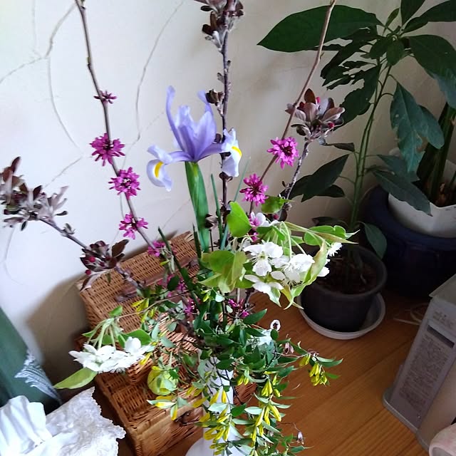 coco1204さんの部屋