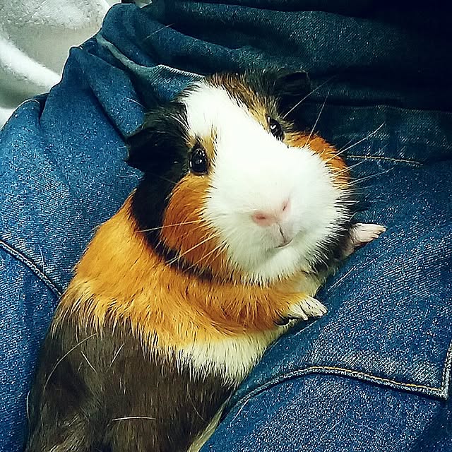 J.BOYさんの実例写真