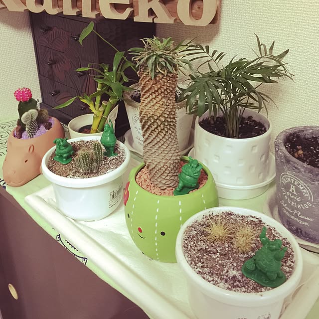 Kyokoさんの実例写真