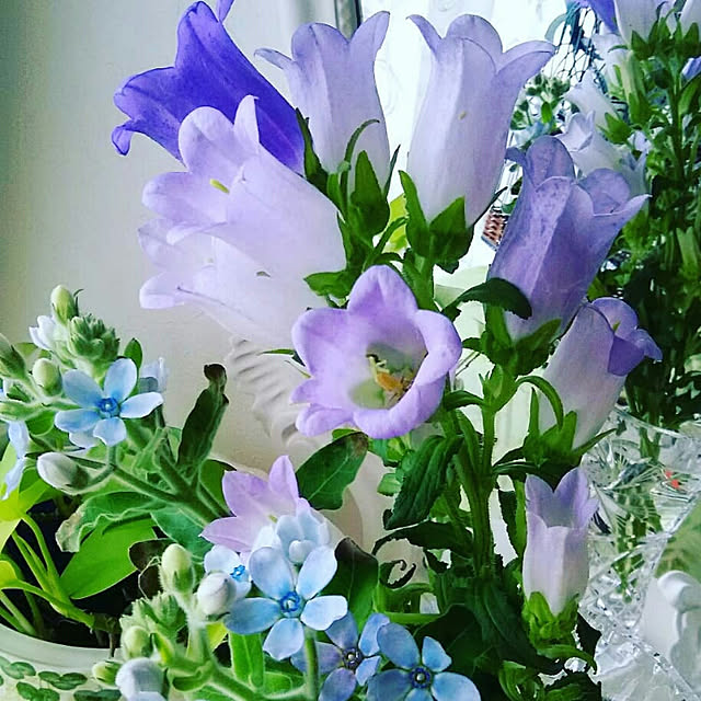 atelier.dot.kobeさんの実例写真