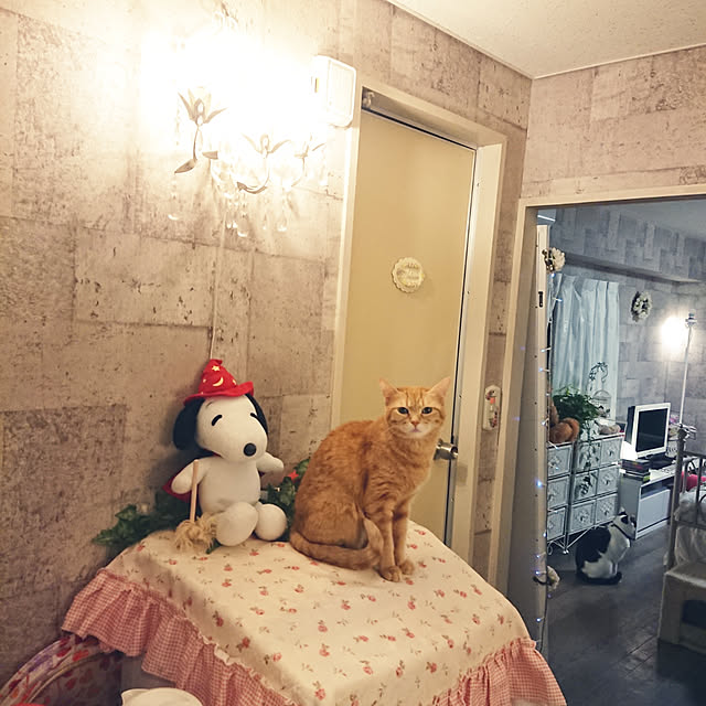 asuminさんの実例写真