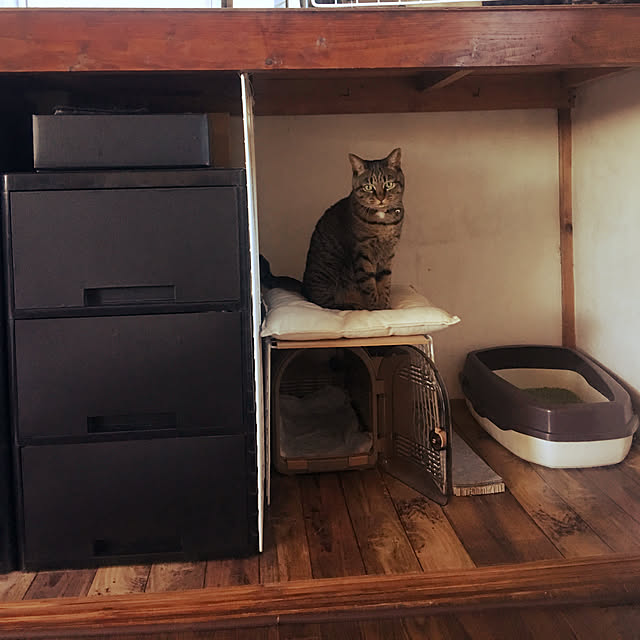 KINGさんの実例写真