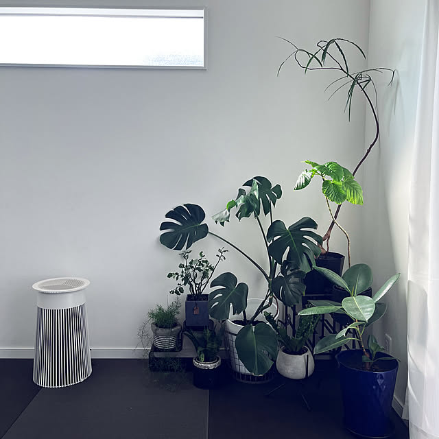 ameさんの部屋